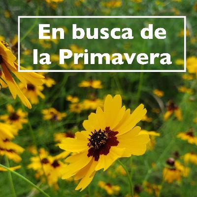 Tus acciones no pasan desapercibidas