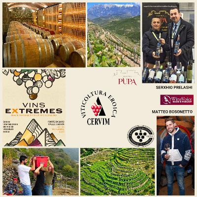 Le Terre del Vino: VINS EXTREMES - Carema (TO) e Berat (Albania) la viticoltura eroica che presidia Storie secolari! Le Terre del Vino: VINS EXTREMES - Carema (TO) e Berat (Albania) la viticoltura eroica che presidia Storie secolari!