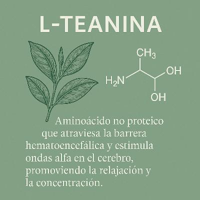 88. L-teanina. ¿Nos cambiará la vida?