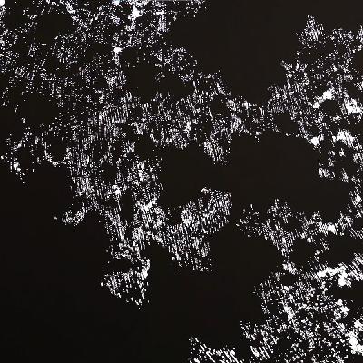 Die kunstvolle Suche nach Struktur und Form – Natur trifft Kunst