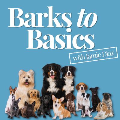 Ep. 49 - Dog Etiquette When Selling Your Home