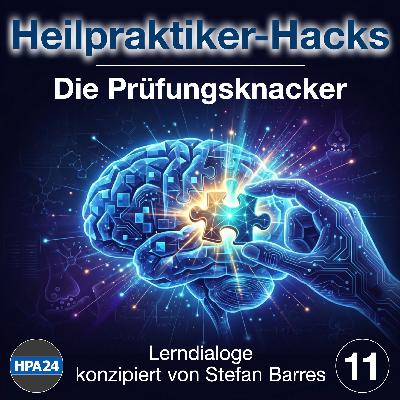 Hormonsystem Teil 1: Vom Hypothalamus zur Drüsen-Übersicht Hormonsystem Teil 1: Vom Hypothalamus zur Drüsen-Übersicht