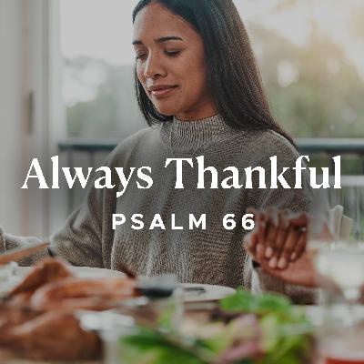 Always Thankful, Ep. 2