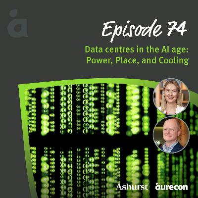 Data centres in the AI age: Power, Place and Cooling