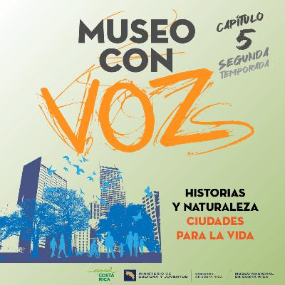 🏡 Ciudades para la vida 🐝