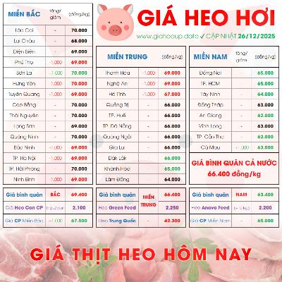 GIÁ LỢN HƠI 26/12/2025 ✅ GIÁ THỊT HEO HÔM NAY & TIN TỨC CHĂN NUÔI #GIAHEOHOI #GIATHITHEO #TET2026