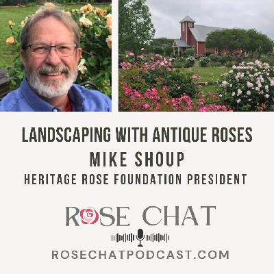 LANDSCAPING WITH ANTIQUE ROSES LANDSCAPING WITH ANTIQUE ROSES