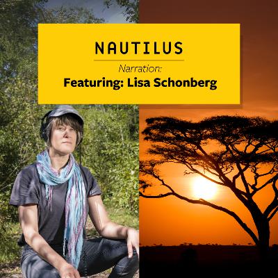 The Tiny Ant and the Mighty Lion, narrated by Lisa Schonberg