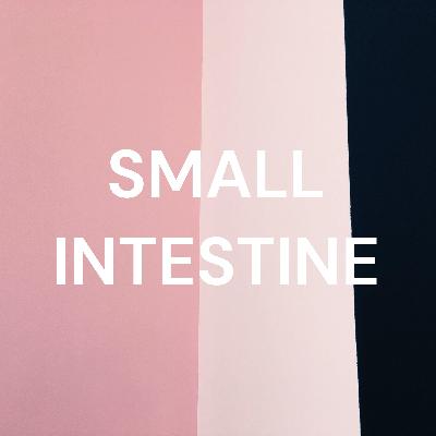 So fresh, so clean? Unpacking the EU’s plans for green industry and finance