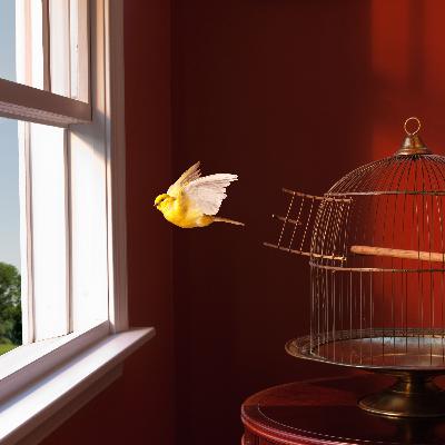 Reinventarse implica renunciar... pero vale la pena