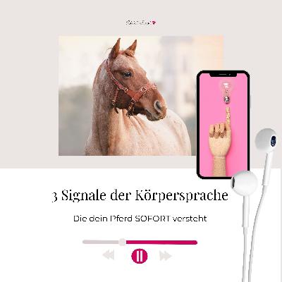 3 Signale der Körpersprache, die dein Pferd SOFORT versteht 3 Signale der Körpersprache, die dein Pferd SOFORT versteht