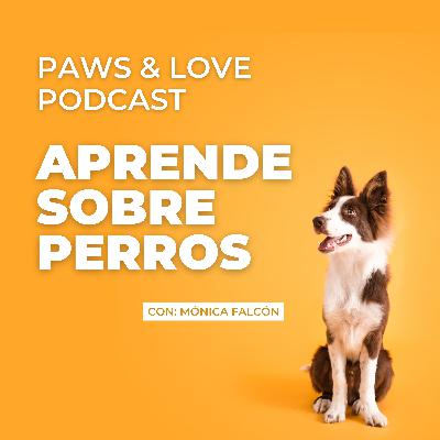 Cómo establecer objetivos realistas con tu perro Ep.34