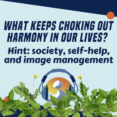 #8 What keeps choking out harmony in our lives?