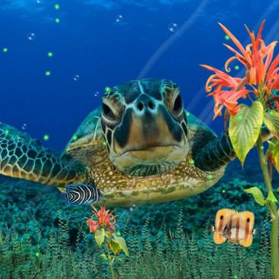 Promo Studio Idzerda: zee Promo Studio Idzerda: zee