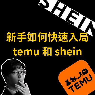新手如何入局Temu和shein