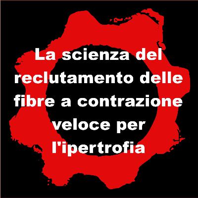 La scienza del reclutamento delle fibre a contrazione veloce per l'ipertrofia (prima parte) La scienza del reclutamento delle fibre a contrazione veloce per l'ipertrofia (prima parte)