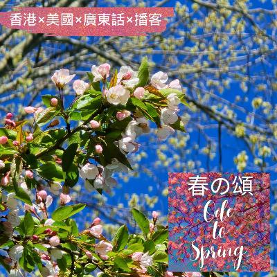 波士頓春天氣息 Spring in Boston