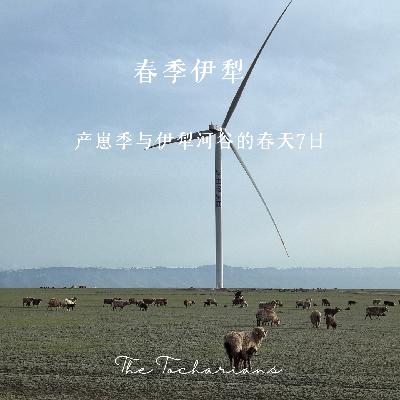 春季伊犁怎么玩？ 产崽季与春牧场