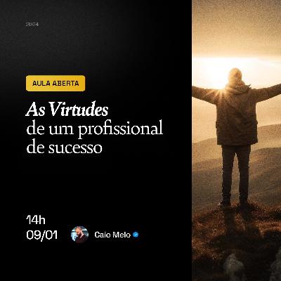 As virtudes de um profissional de sucesso