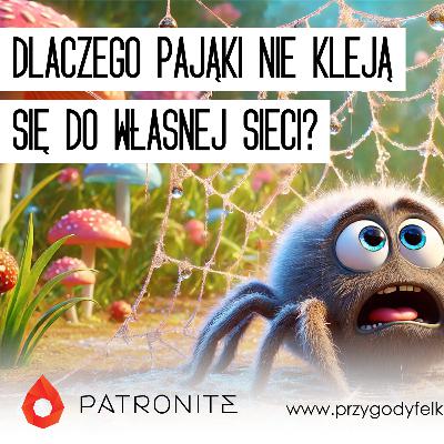 🔬 SNF #003. Dlaczego pająki nie kleją się do własnej sieci? | Słodka Nauka Felka Wafelka
