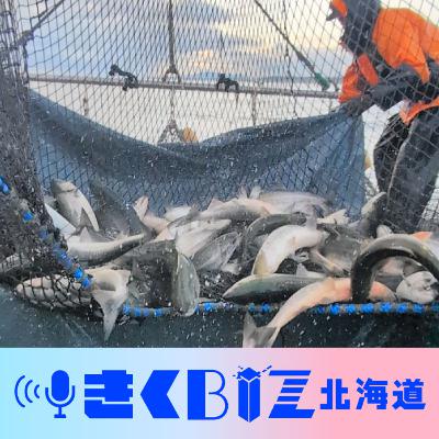 自家製イクラは高根の花に／減少が止まらない秋サケの漁獲＜きくBIZ北海道＞＃377