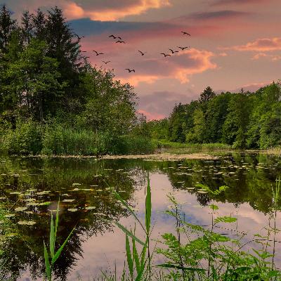 Recharge Yourself With Relaxing Mindfulness