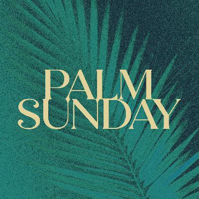 A Grand Parade A Grand Parade