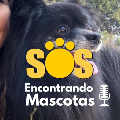 06 - Me abrieron la puerta del carro y se llevaron a Newton 🚗🐾