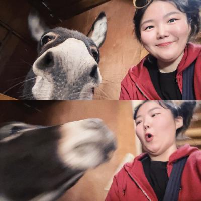 21. 被黑山遣返后，我再次勇闯了！附：阿尔巴尼亚跨年奇遇记