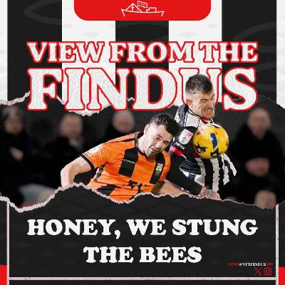 Honey, We Stung The Bees