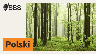 21. Polski Festiwal na Federation Square w Melbourne 21. Polski Festiwal na Federation Square w Melbourne