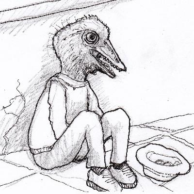 11. Dezember 11. Dezember