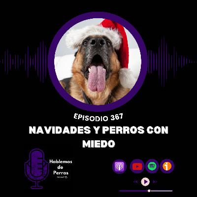 EP#367¿Llevo a mi perro a celebrar la navidad?
