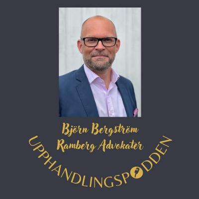 Avsnitt 28 - Förenkling, sekretess och dialog