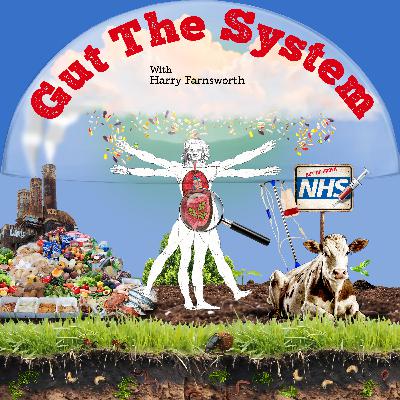 Gut The System Trailer
