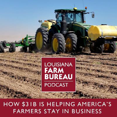 American Relief Act: How $31B is Helping American Farmers Stay in Business