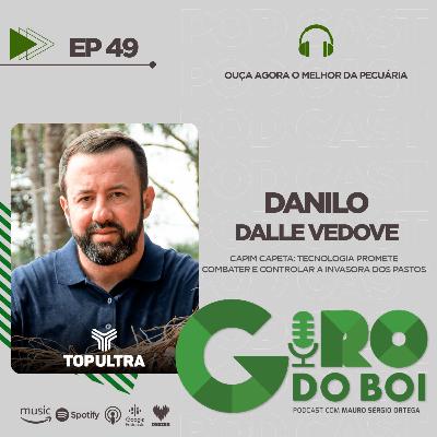 Capim Capeta: tecnologia promete combater e controlar a invasora dos pastos