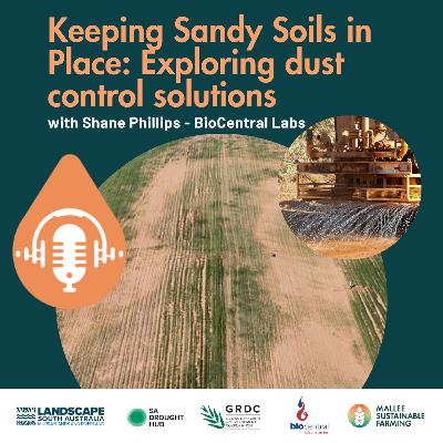 Keeping Sandy Soils in Place: Exploring dust control solutions with Shane Phillips – BioCentral Labs
