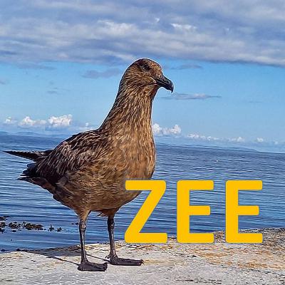 ZEE aflevering 3 ZEE aflevering 3