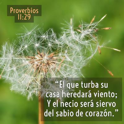 37 - Joyas de Sabiduría - No invite al tornado a entrar en casa [Proverbios 11:29]