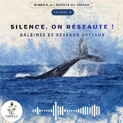Silence, on réseaute ! Baleines et réseaux sociaux - Ep.04