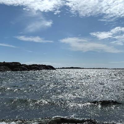 Så stärks Östersjön när vi minskar stressen på havet