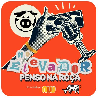 Do pé de cacau ao sabor de verdade