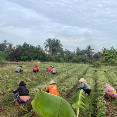 Cảm hứng Mekong: Đổi đời nhờ đổi mới Cảm hứng Mekong: Đổi đời nhờ đổi mới