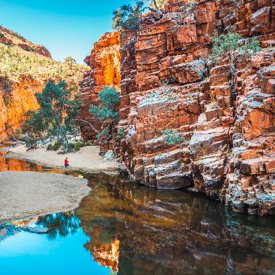 ep.451 野生ワラビーに大興奮！緑の渓谷でカップ麺、そして裸足で池渡りも