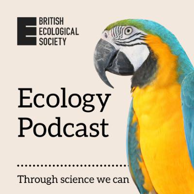 Beavers Boost Bat Biodiversity | The Story Behind the Paper Beavers Boost Bat Biodiversity | The Story Behind the Paper