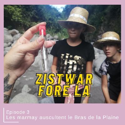 Les marmay auscultent le Bras de La Plaine - Episode 3 - Zistwar Foré la Les marmay auscultent le Bras de La Plaine - Episode 3 - Zistwar Foré la