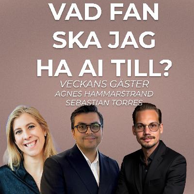 AI & Legal, Vad gäller egentligen? med Agnes Hammarstrand & Sebastian Torres