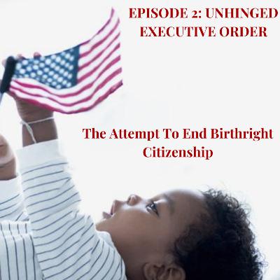 Unhinged Executive Order: Attempt to End Birthright Citizenship