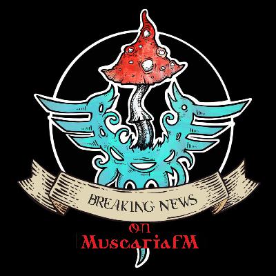 X.BREAKING NEWS
